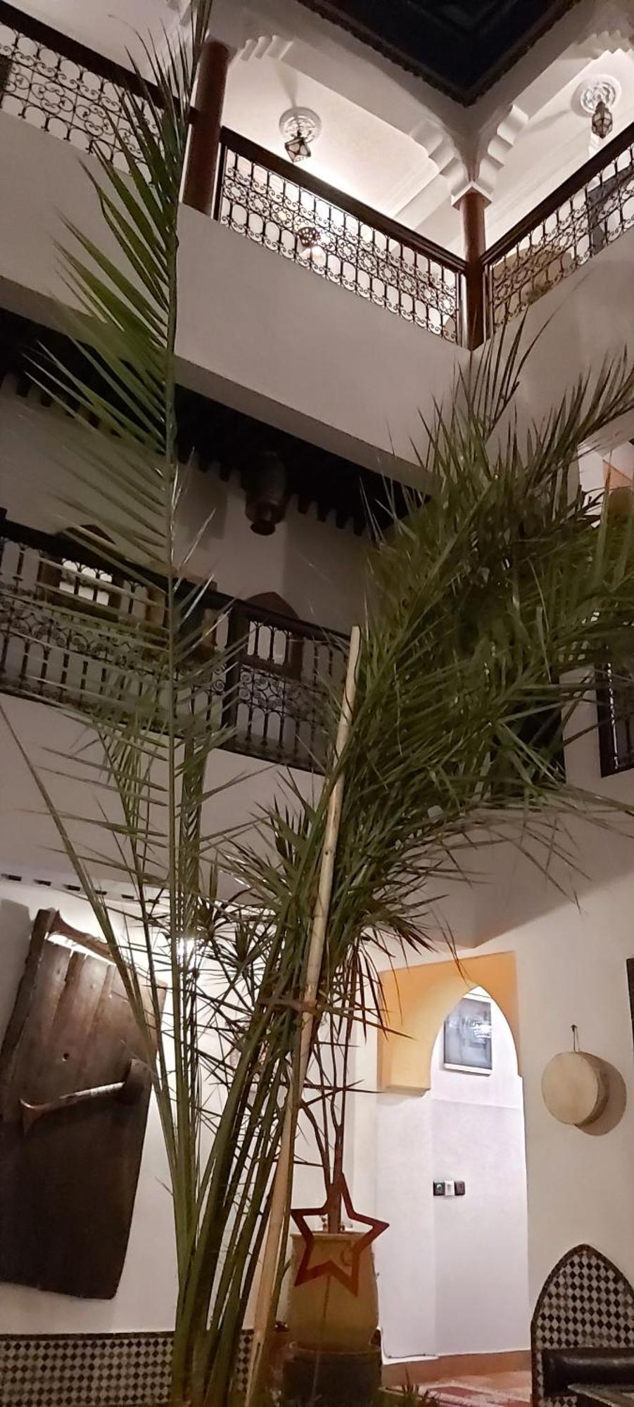 Riad Ajebel Marrakesh Eksteriør billede